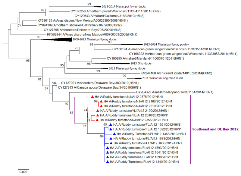 Figure 2