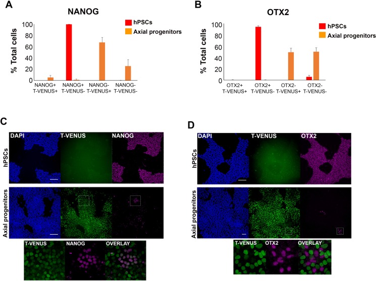 Figure 3—figure supplement 3.