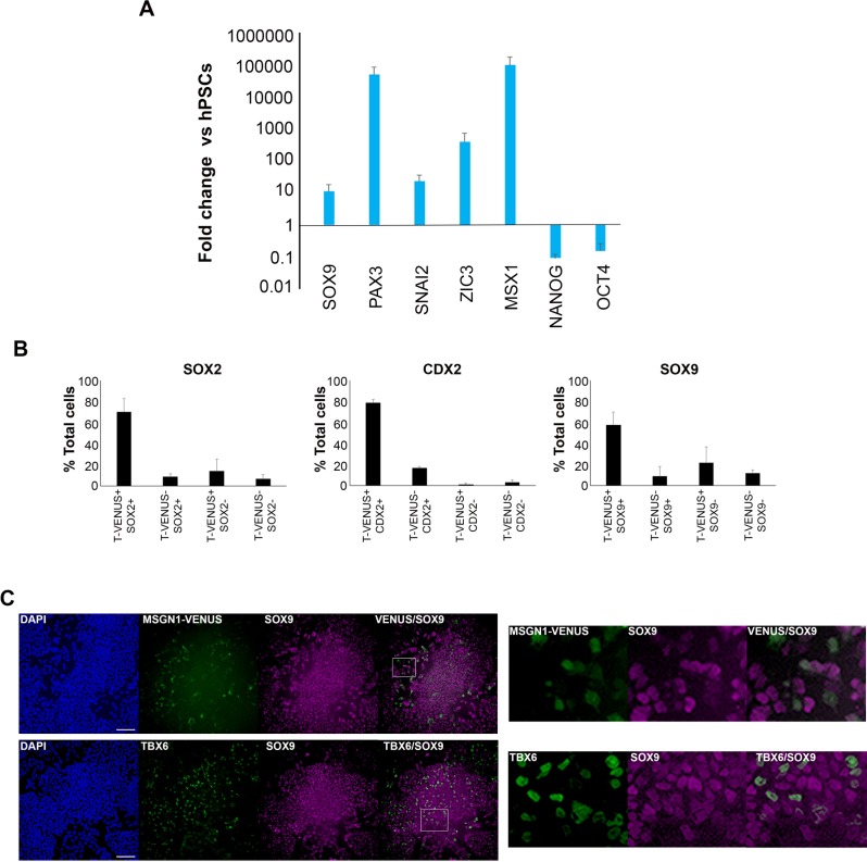 Figure 2—figure supplement 1.