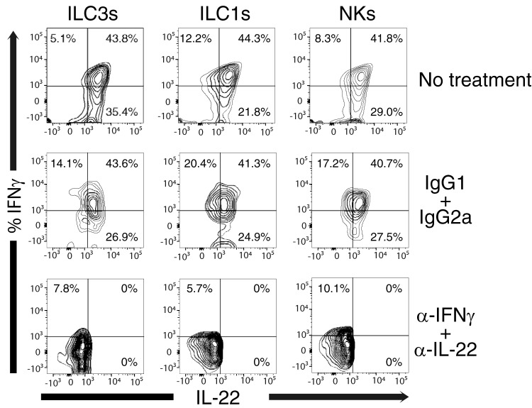 FIG 8