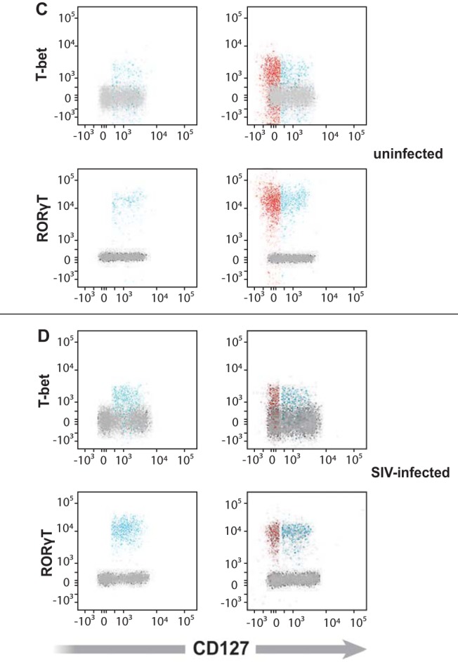 FIG 10