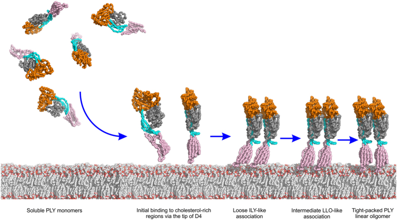 Figure 5