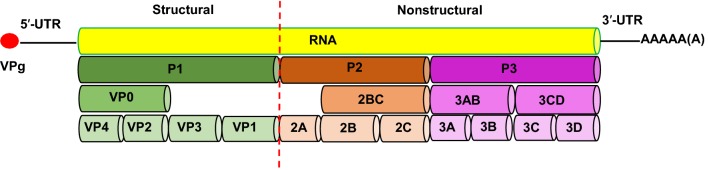 Fig. 1