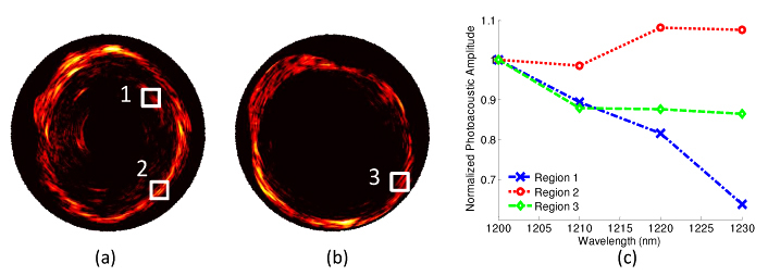 Fig. 5