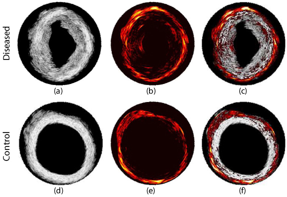 Fig. 4