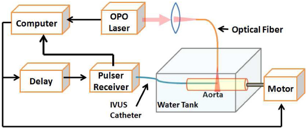 Fig. 2