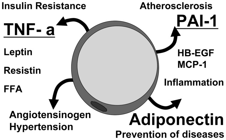 Fig. 5