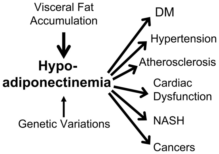 Fig. 10