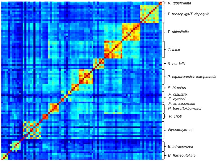 Fig 4