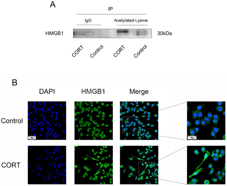 Figure 14