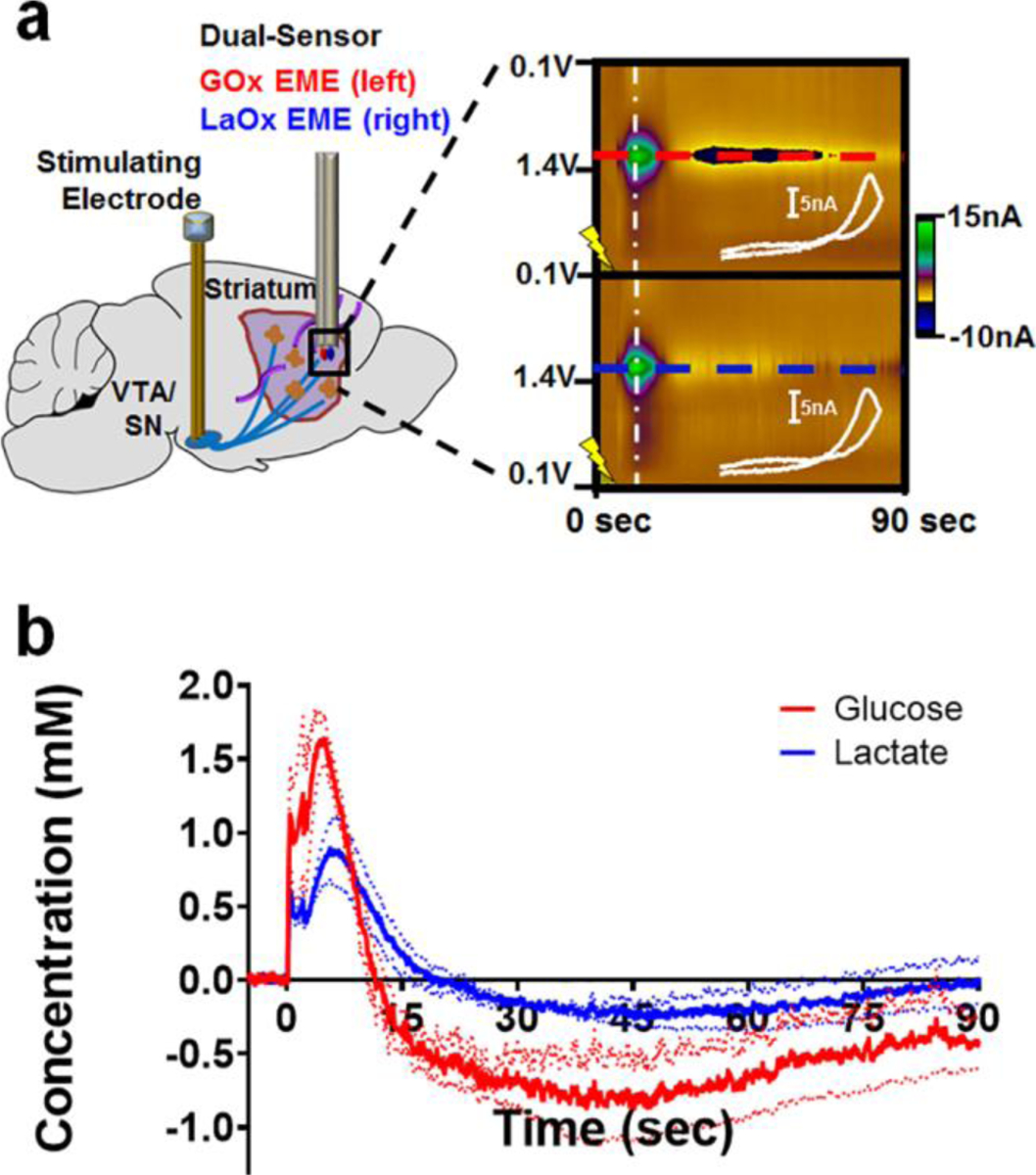 Fig. 2: