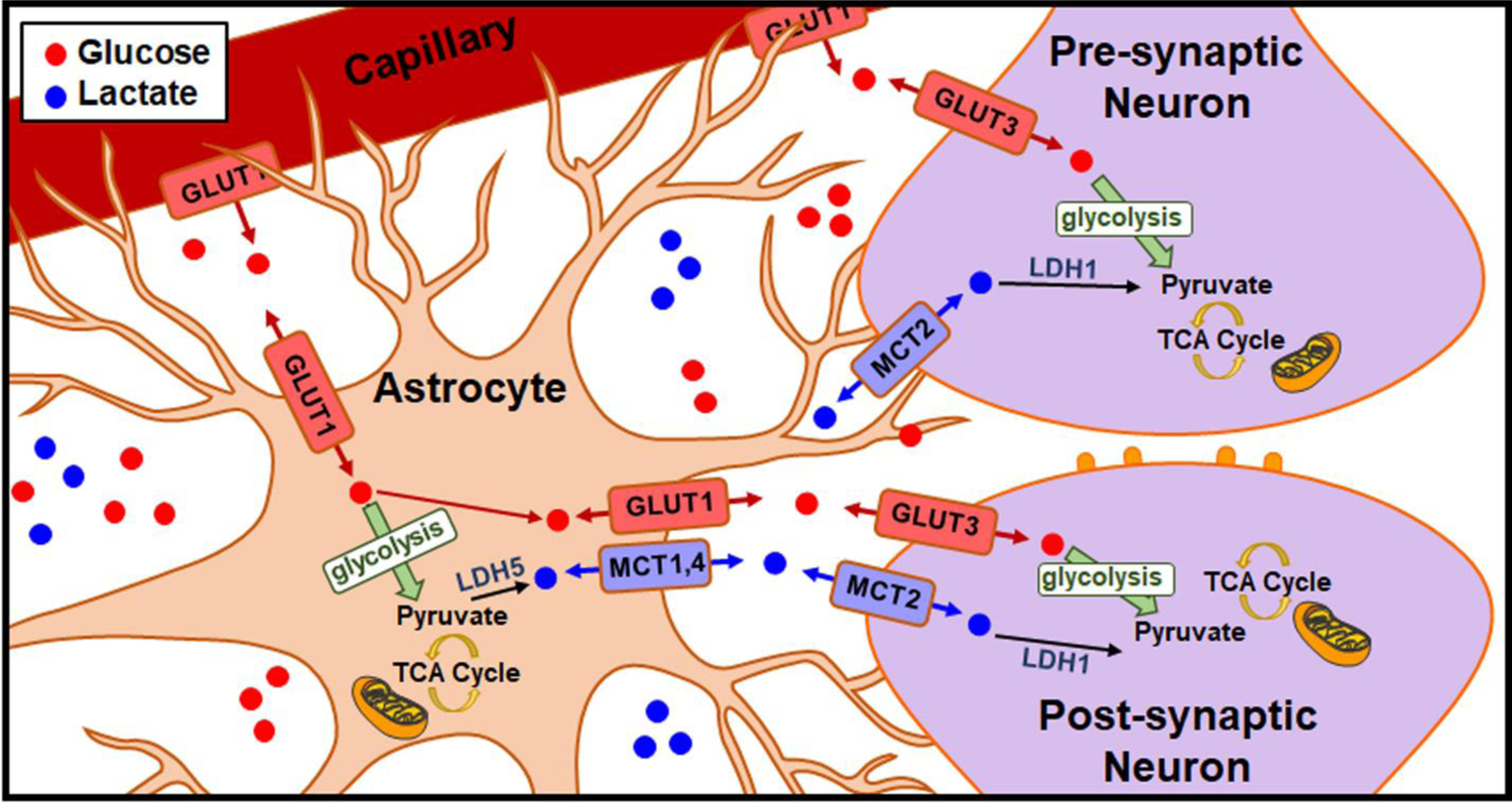 Fig. 8: