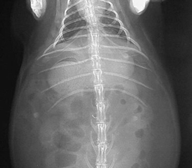 Figure 14-13