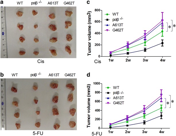 Fig. 6