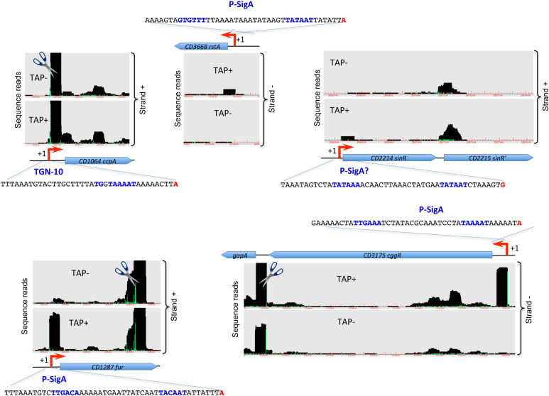 FIGURE 3