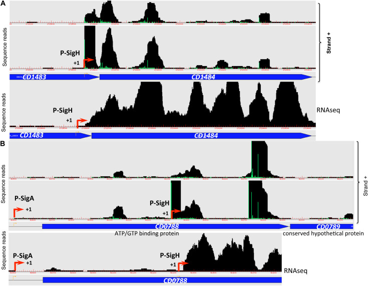 FIGURE 6