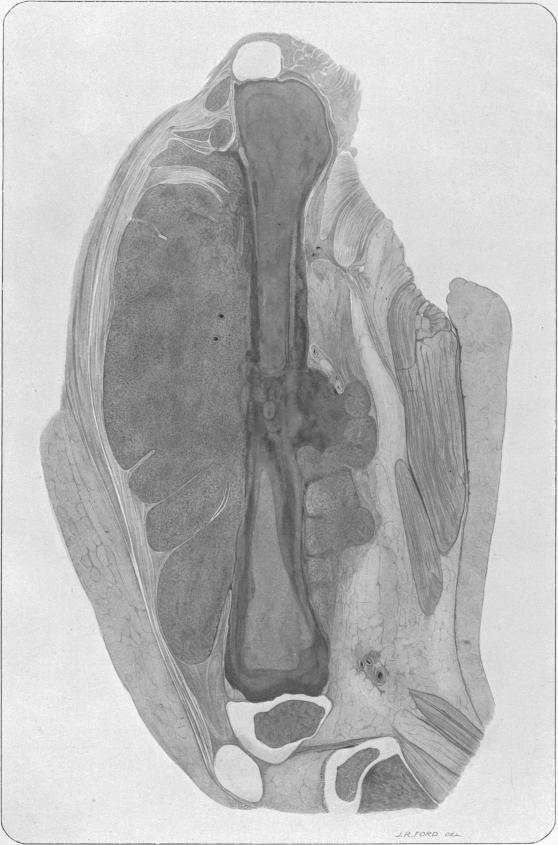 p114-2-a