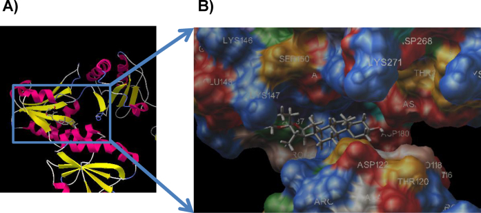 Figure 4