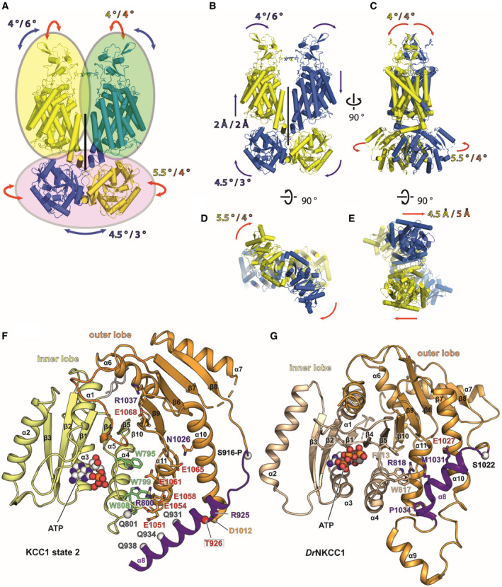 Figure EV3