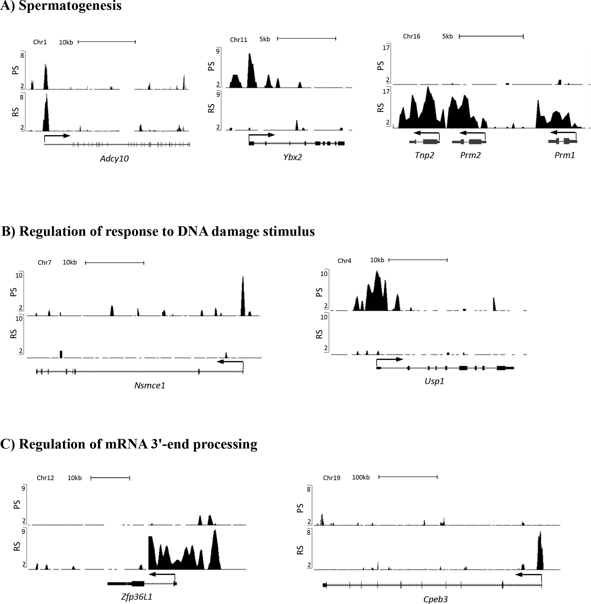 Figure 5.