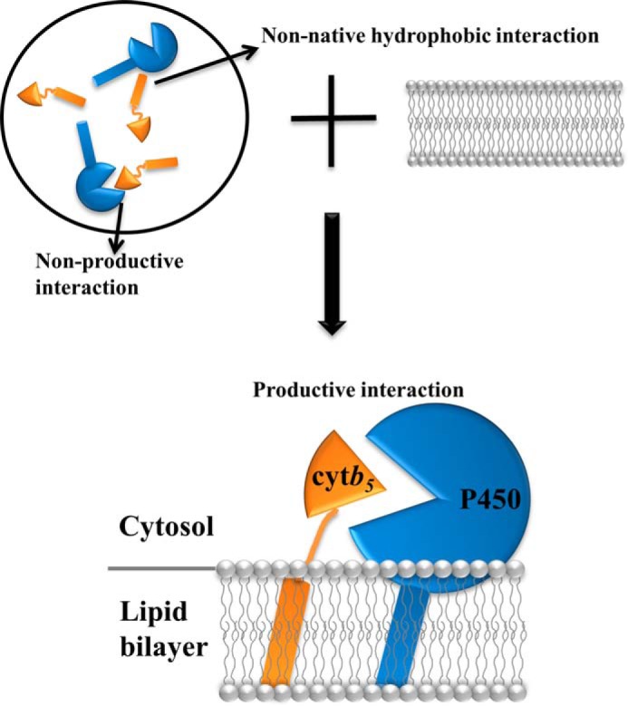 FIGURE 11.