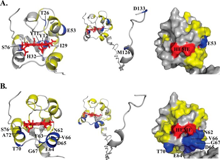 FIGURE 10.