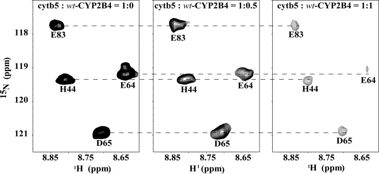 FIGURE 2.