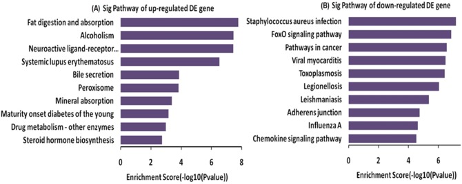 Fig 6