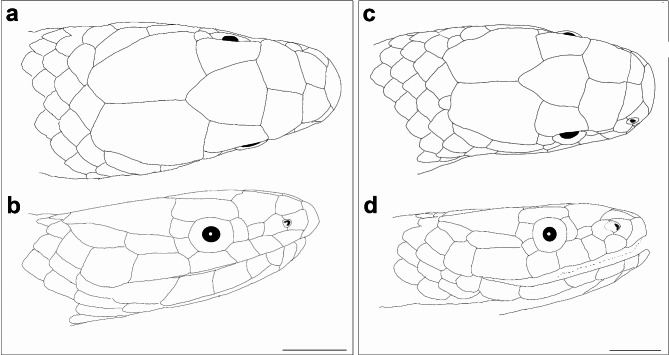 Fig. 9