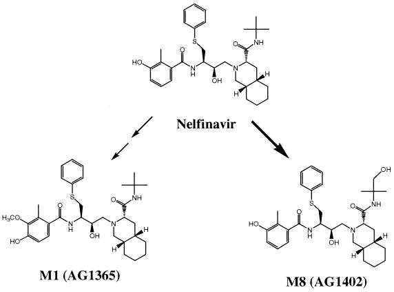 FIG. 5