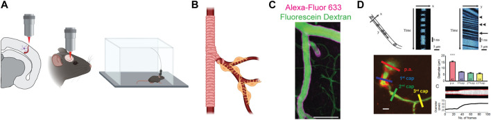 FIGURE 2