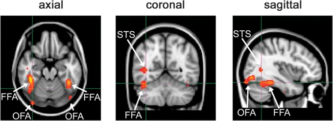 Figure 3.