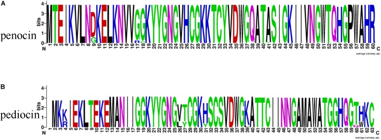 FIGURE 12