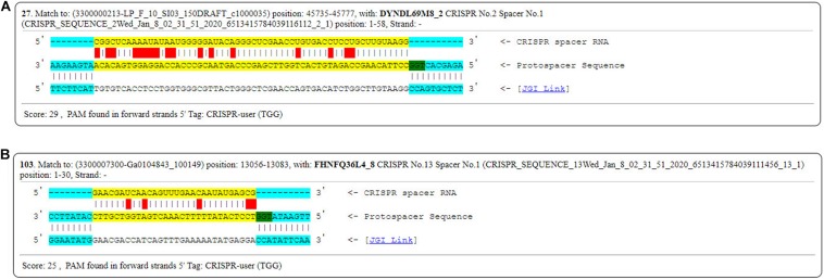 FIGURE 15