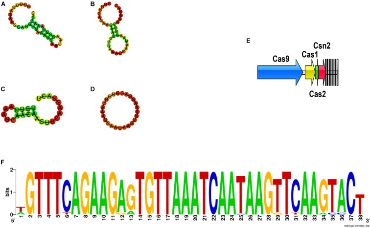 FIGURE 13