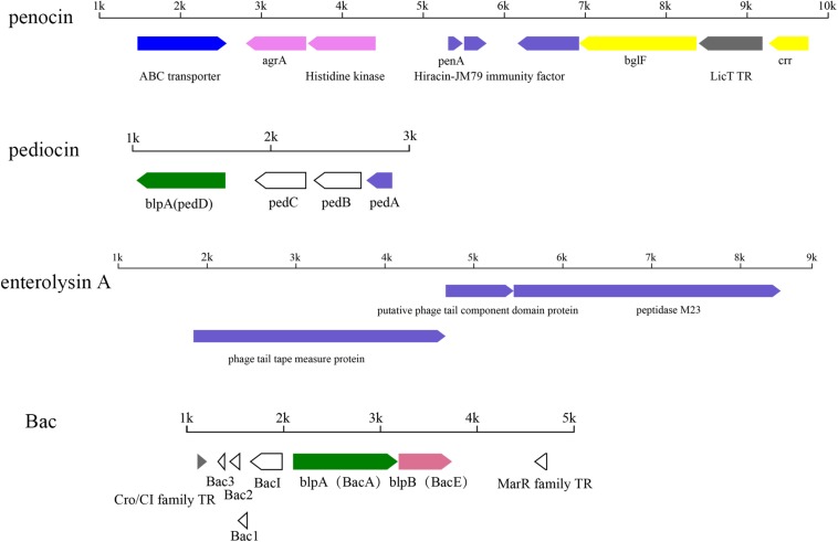 FIGURE 11