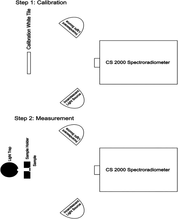 FIGURE 3