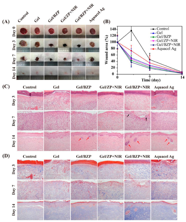 Figure 6