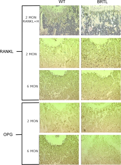 FIG. 6