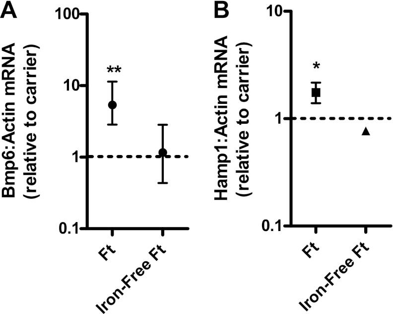 Fig. 5.