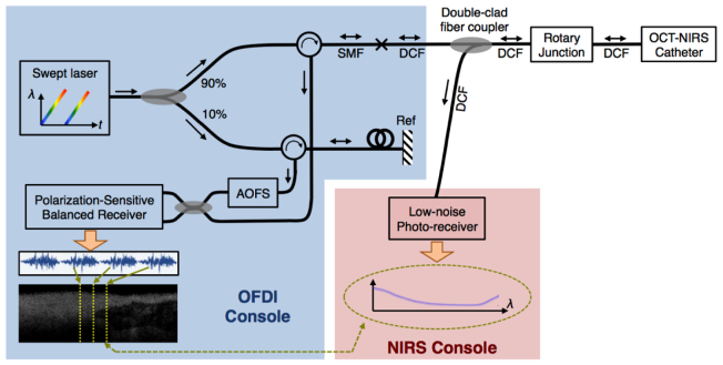 Fig. 1