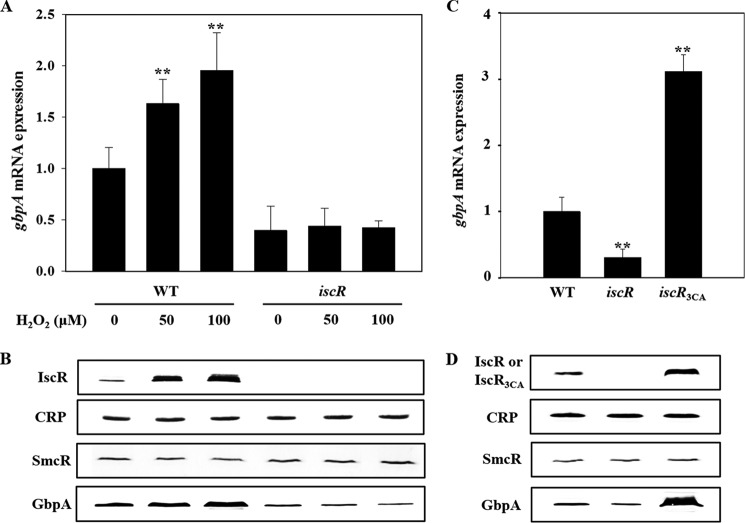 FIGURE 10.