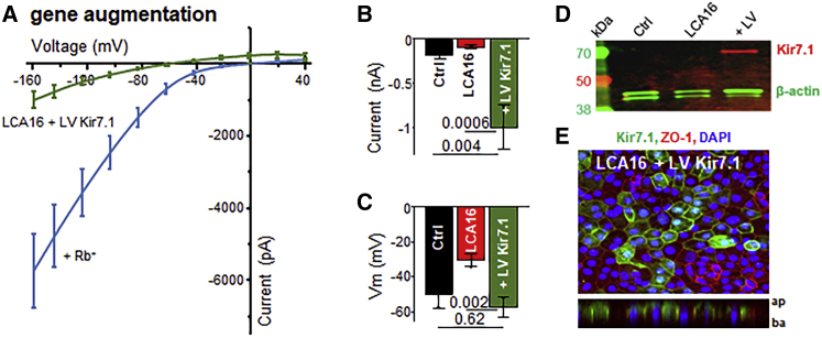 Figure 5