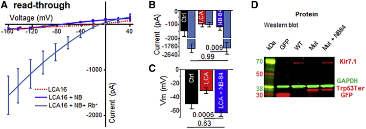 Figure 4