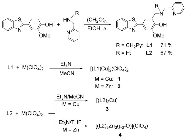 Scheme 3