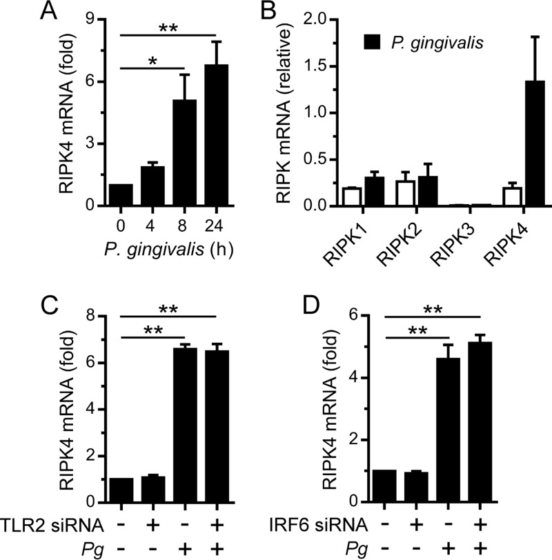 FIG 4