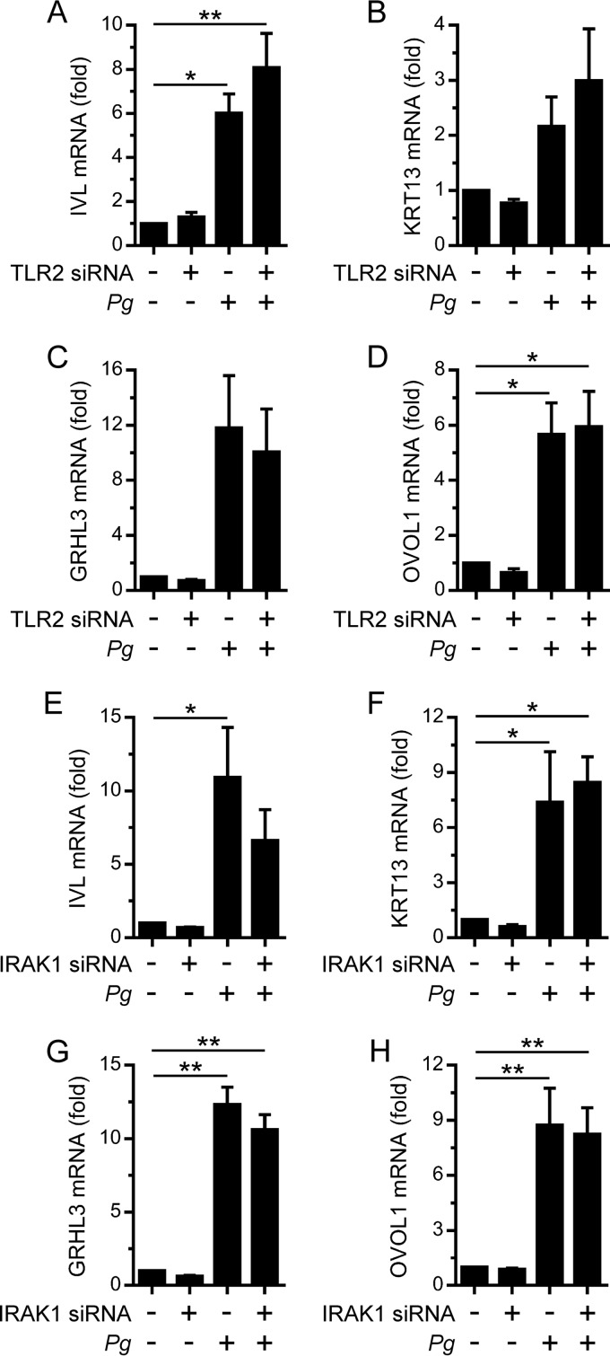 FIG 2