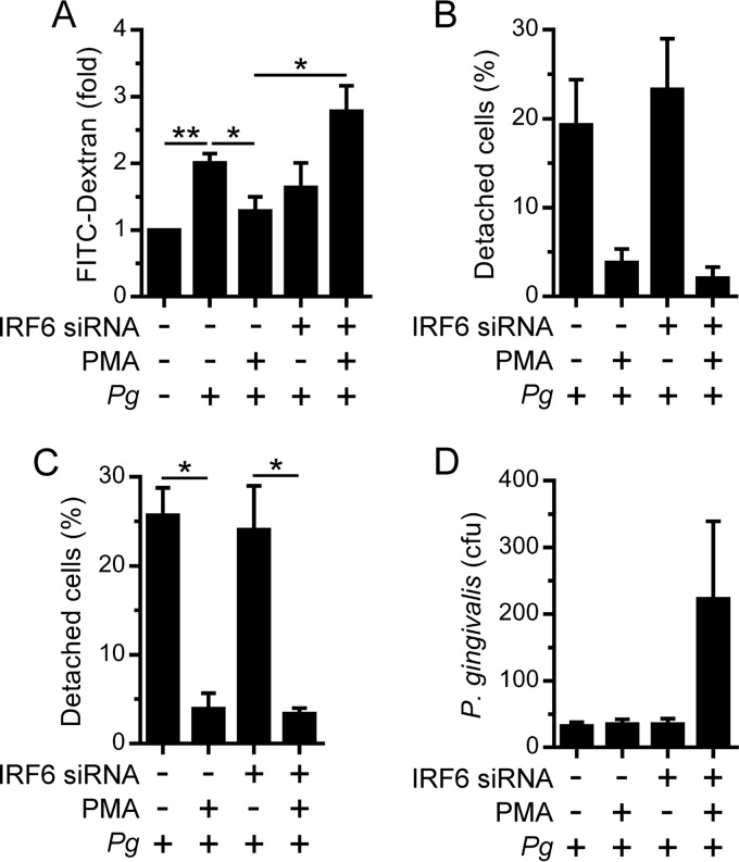 FIG 6