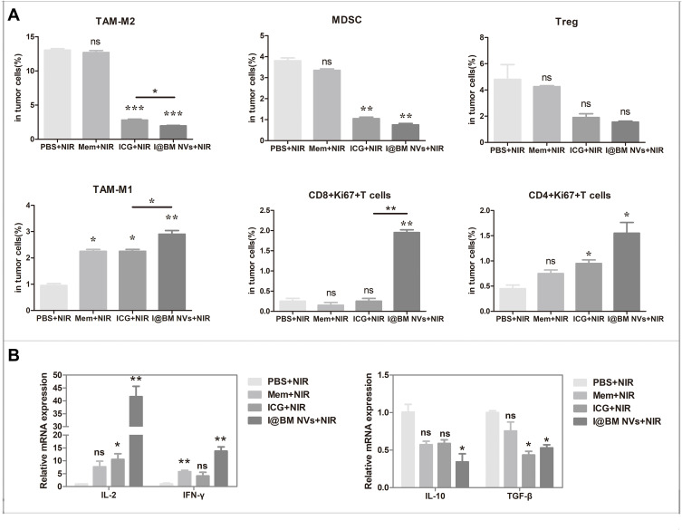 B16 Membrane-Coated Vesicles for Combined Photodynamic Therapy and ...