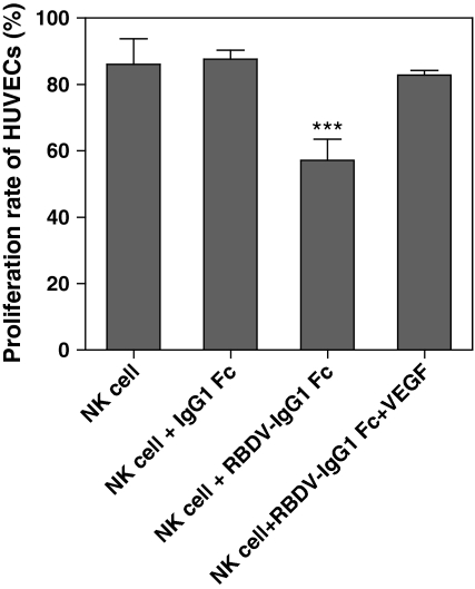 Fig. 6